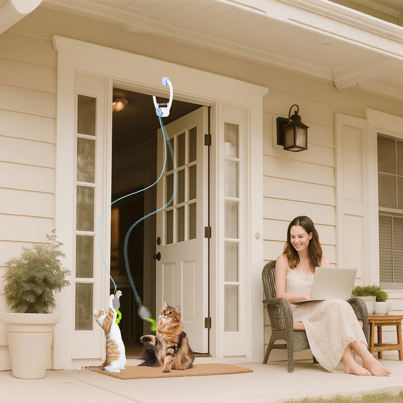 Interactive Electric Cat Toy - Door-Hanging