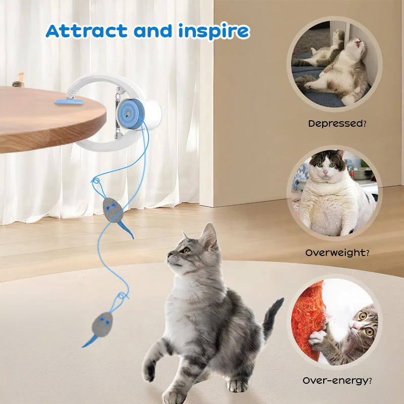 Interactive Electric Cat Toy - Door-Hanging